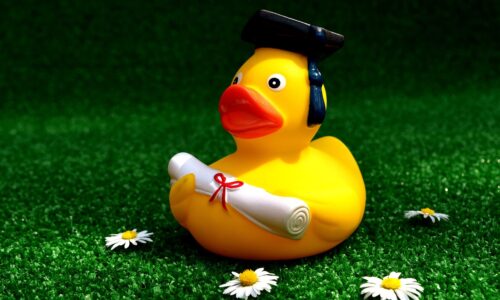 rubber-duck-Alexa Pixabay 2821371_1280